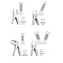 Set of extraction forceps - 10 pieces.